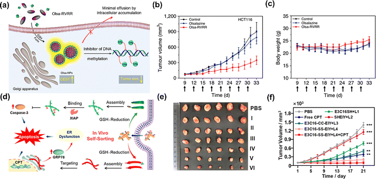 image file: d5cs00734h-f31.tif