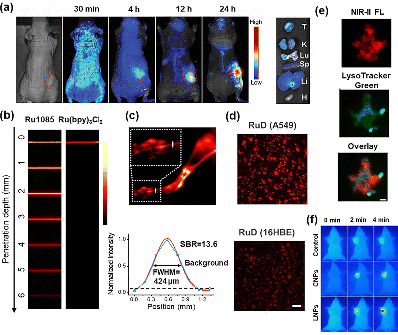 image file: d5cs00734h-f6.tif
