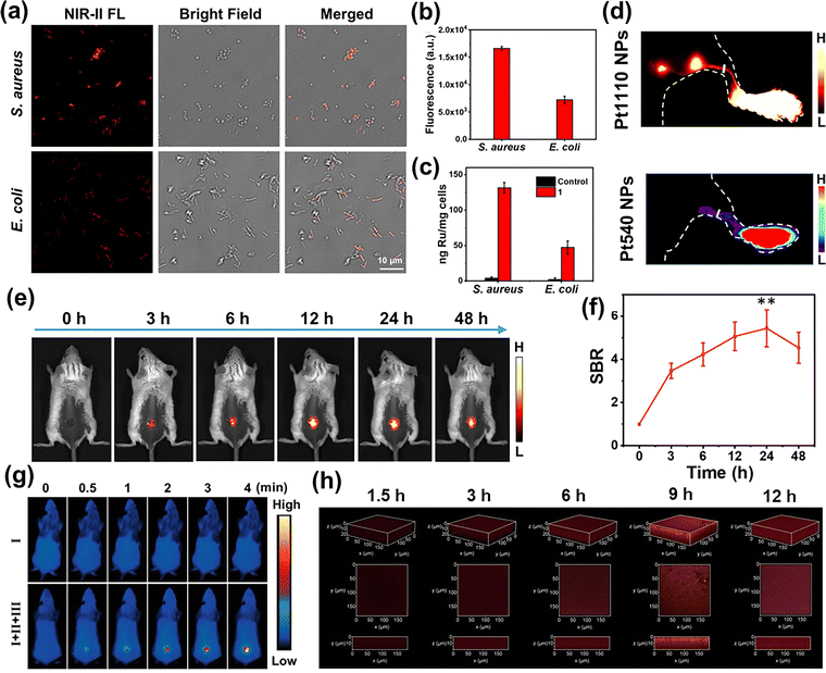 image file: d5cs00734h-f7.tif
