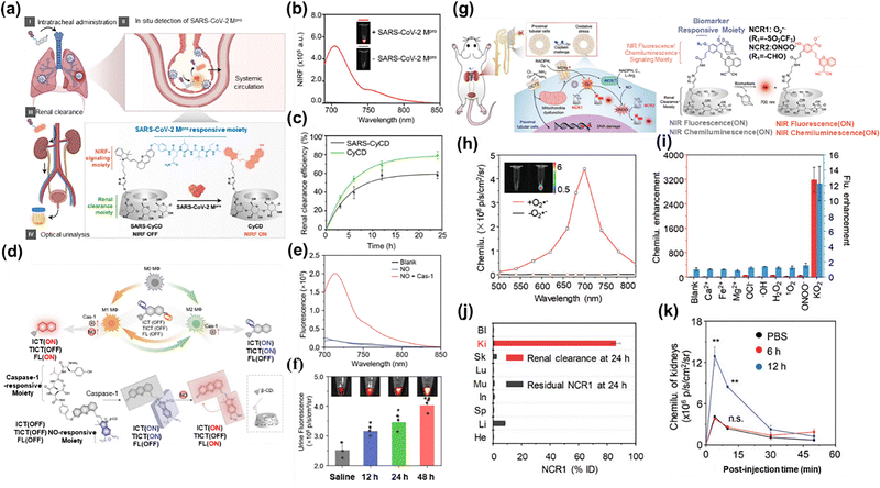 image file: d5cs00734h-f9.tif
