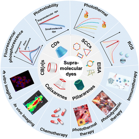 image file: d5cs00734h-s1.tif