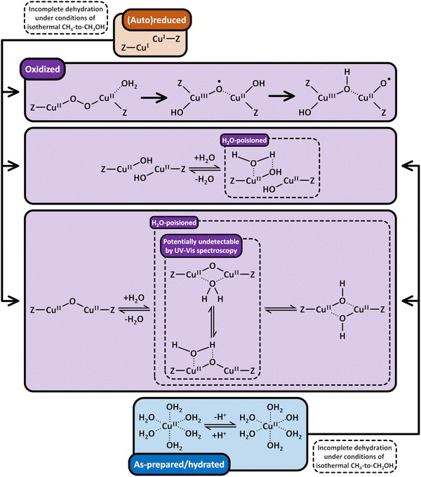 image file: d5cs00747j-s10.tif