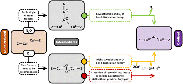 image file: d5cs00747j-s12.tif