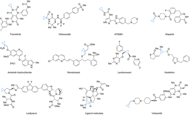 image file: d5cs00759c-f1.tif