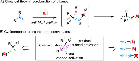 image file: d5cs00759c-f4.tif