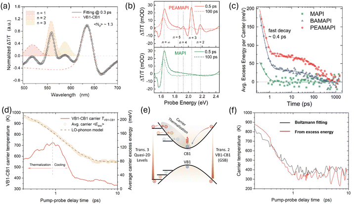 image file: d5cs00777a-f4.tif