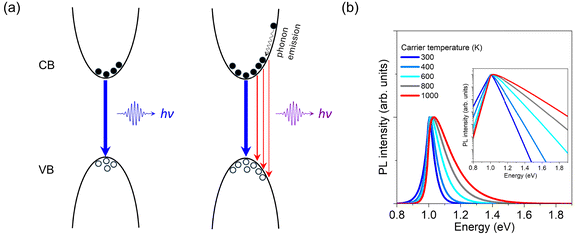 image file: d5cs00777a-f7.tif