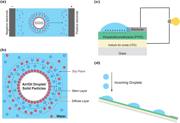 image file: d5cs00778j-f2.tif