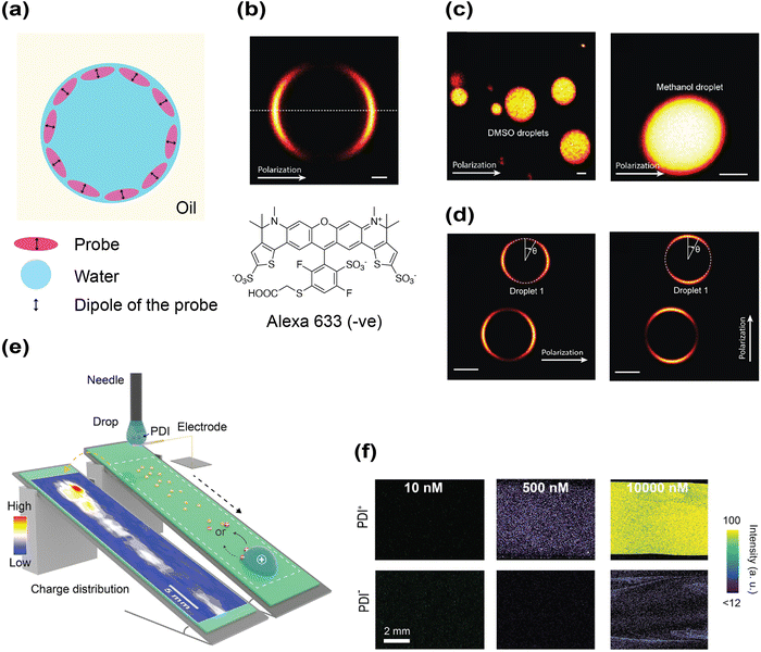 image file: d5cs00778j-f3.tif