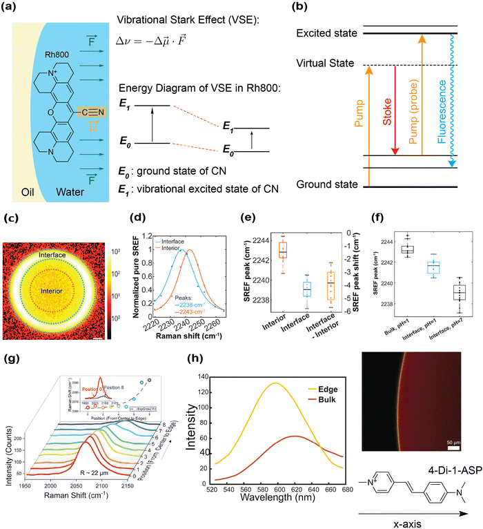 image file: d5cs00778j-f4.tif