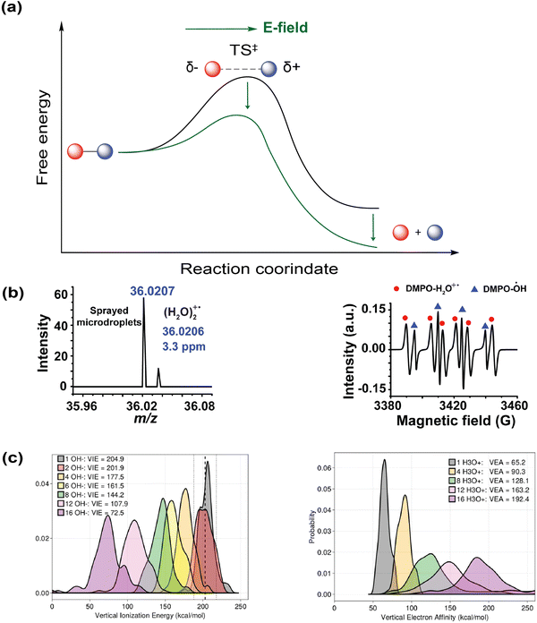 image file: d5cs00778j-f9.tif