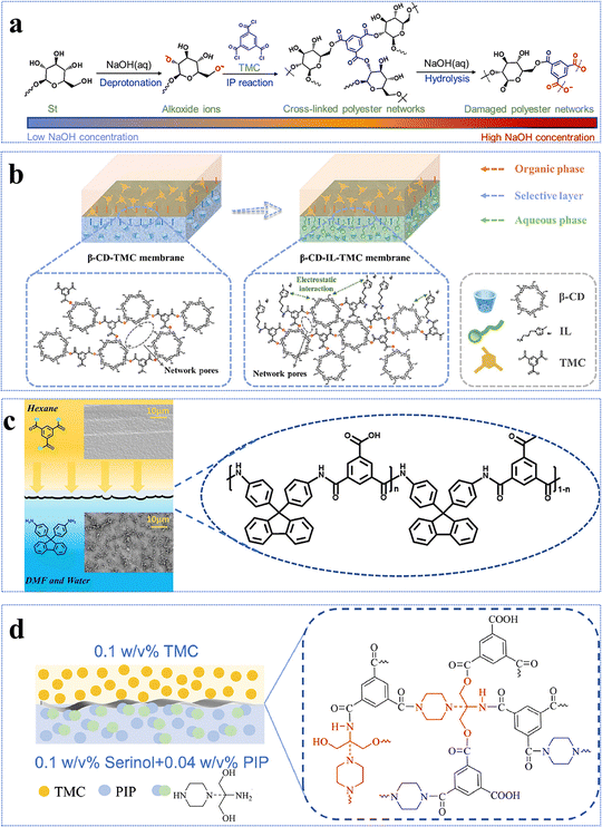 image file: d5cs00787a-f11.tif