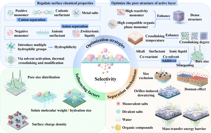 image file: d5cs00787a-f15.tif