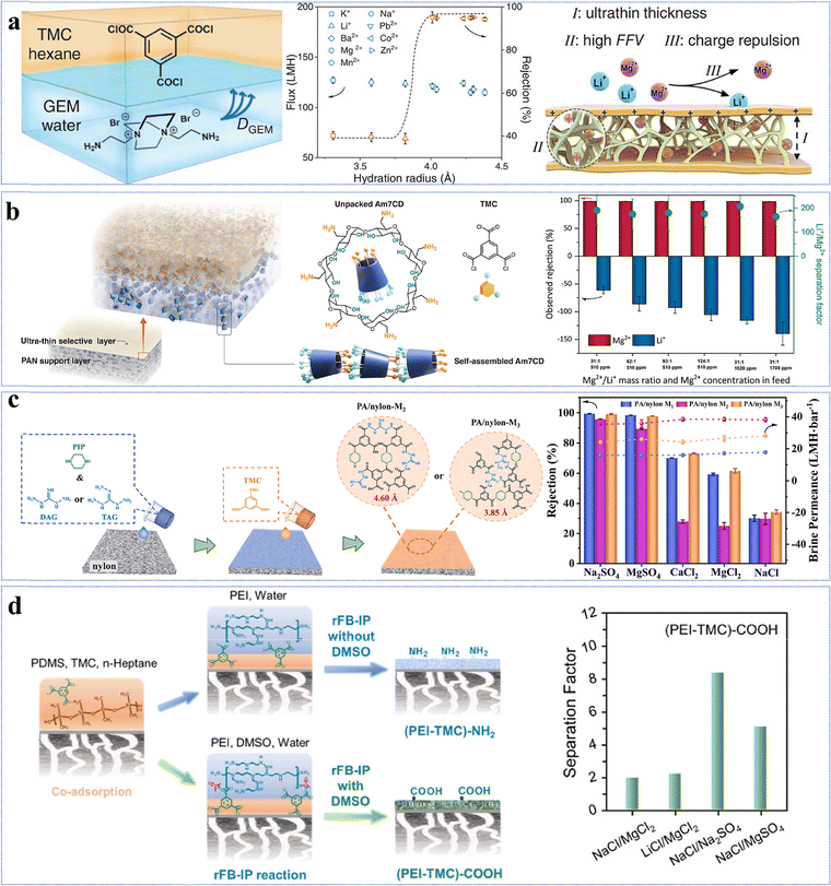 image file: d5cs00787a-f16.tif