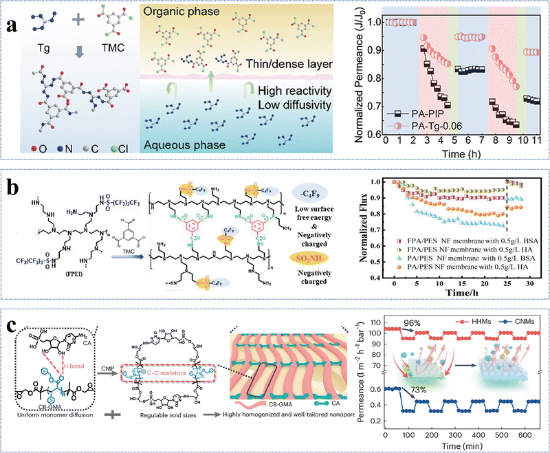 image file: d5cs00787a-f20.tif