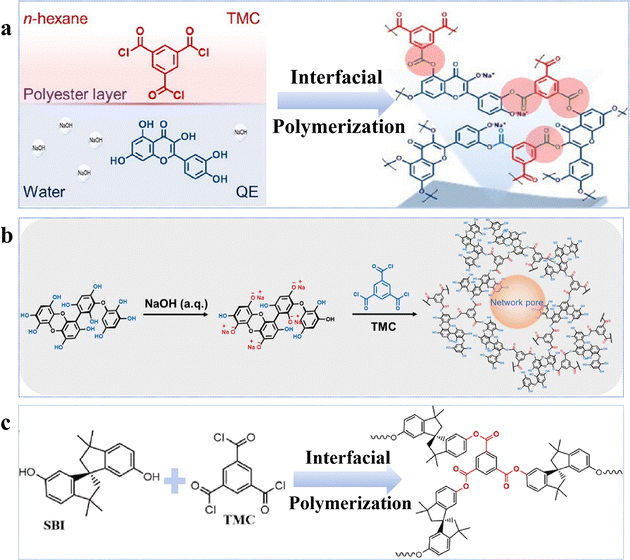 image file: d5cs00787a-f4.tif