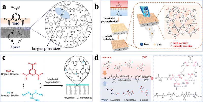 image file: d5cs00787a-f6.tif