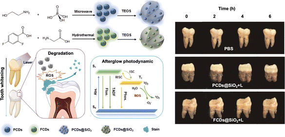 image file: d5cs00825e-f10.tif