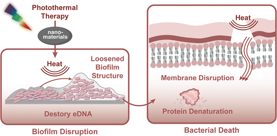 image file: d5cs00825e-f11.tif