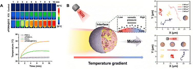 image file: d5cs00825e-f12.tif
