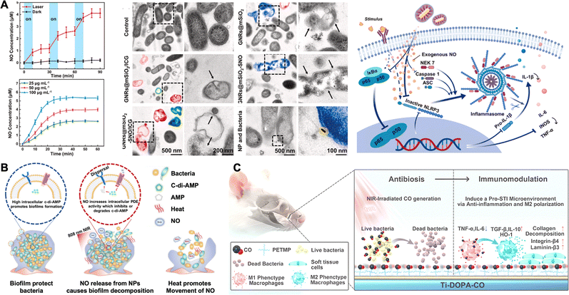 image file: d5cs00825e-f13.tif