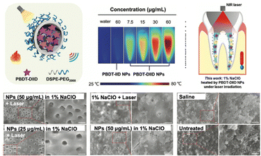 image file: d5cs00825e-f14.tif