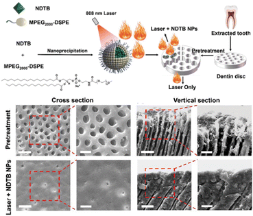 image file: d5cs00825e-f15.tif