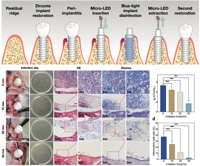 image file: d5cs00825e-f18.tif