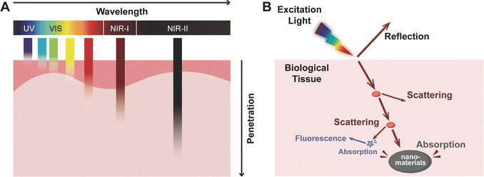image file: d5cs00825e-f2.tif