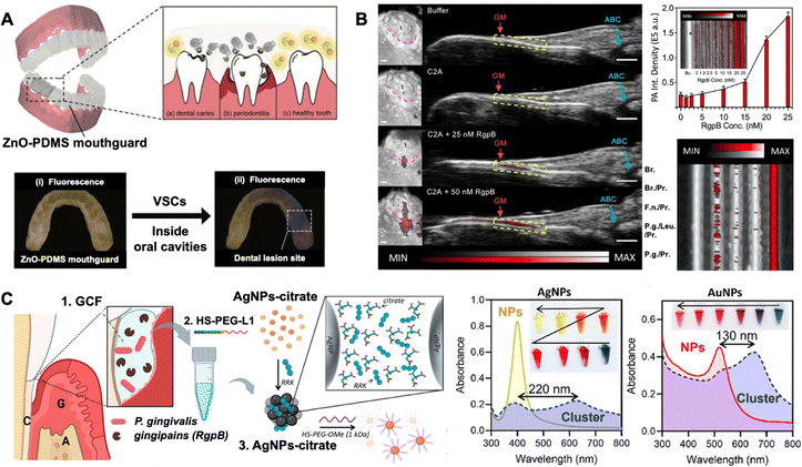 image file: d5cs00825e-f20.tif