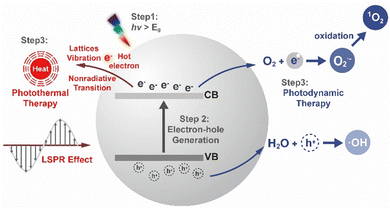 image file: d5cs00825e-f4.tif
