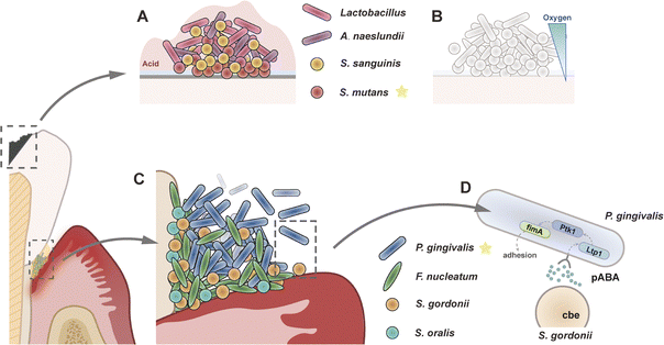 image file: d5cs00825e-f5.tif
