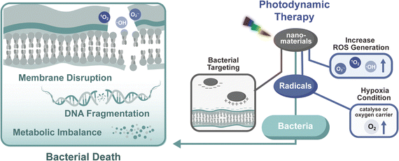 image file: d5cs00825e-f6.tif