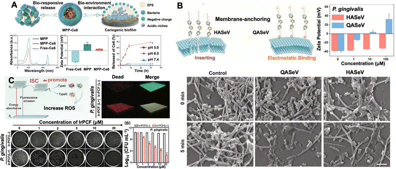 image file: d5cs00825e-f7.tif