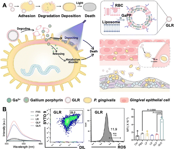 image file: d5cs00825e-f8.tif