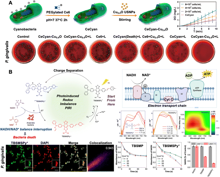 image file: d5cs00825e-f9.tif