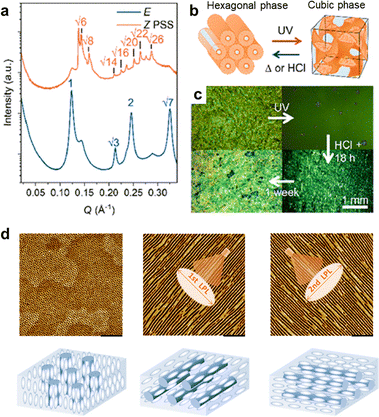 image file: d5cs00843c-f12.tif