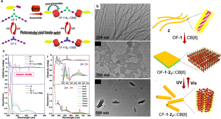 image file: d5cs00843c-f13.tif