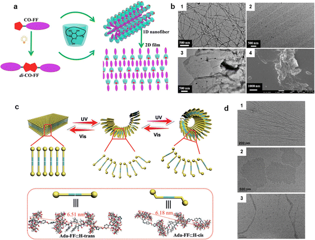 image file: d5cs00843c-f14.tif