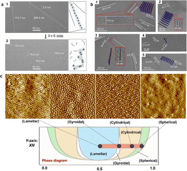 image file: d5cs00843c-f15.tif