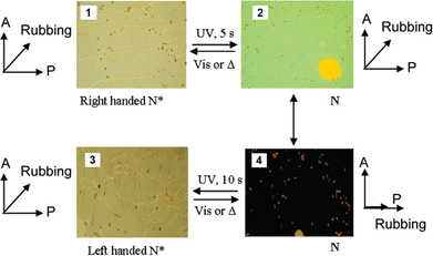 image file: d5cs00843c-f16.tif