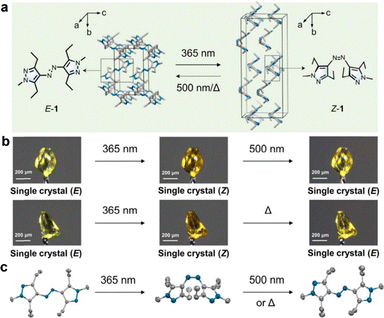 image file: d5cs00843c-f3.tif