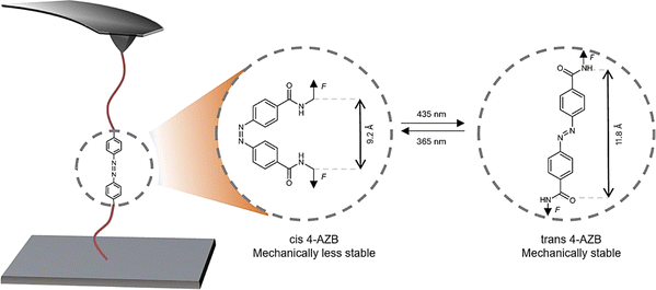 image file: d5cs00843c-f4.tif