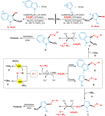 Synthetic applications of electro/photochemical halogen atom