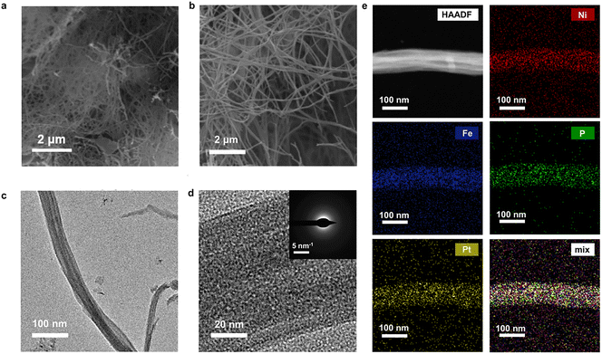 image file: d5cs00881f-f13.tif