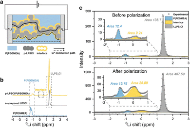 image file: d5cs00895f-f10.tif