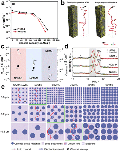 image file: d5cs00895f-f6.tif