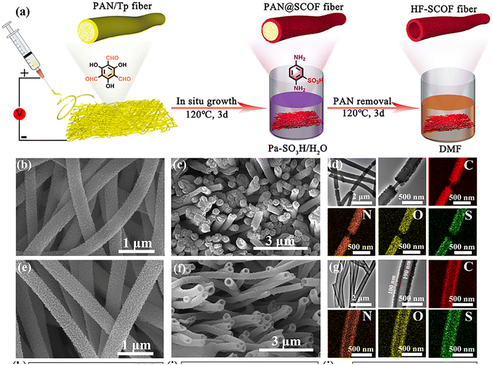 image file: d5cs00918a-f31.tif