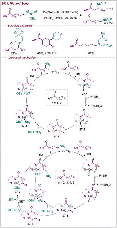 Recent progress in transition-metal-catalysed intermolecular
