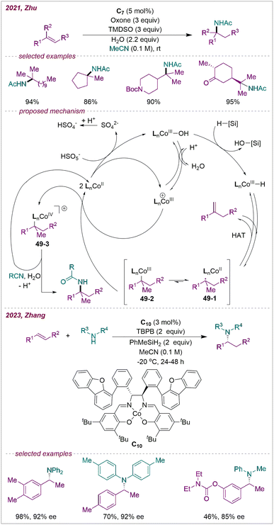 Recent progress in transition-metal-catalysed intermolecular